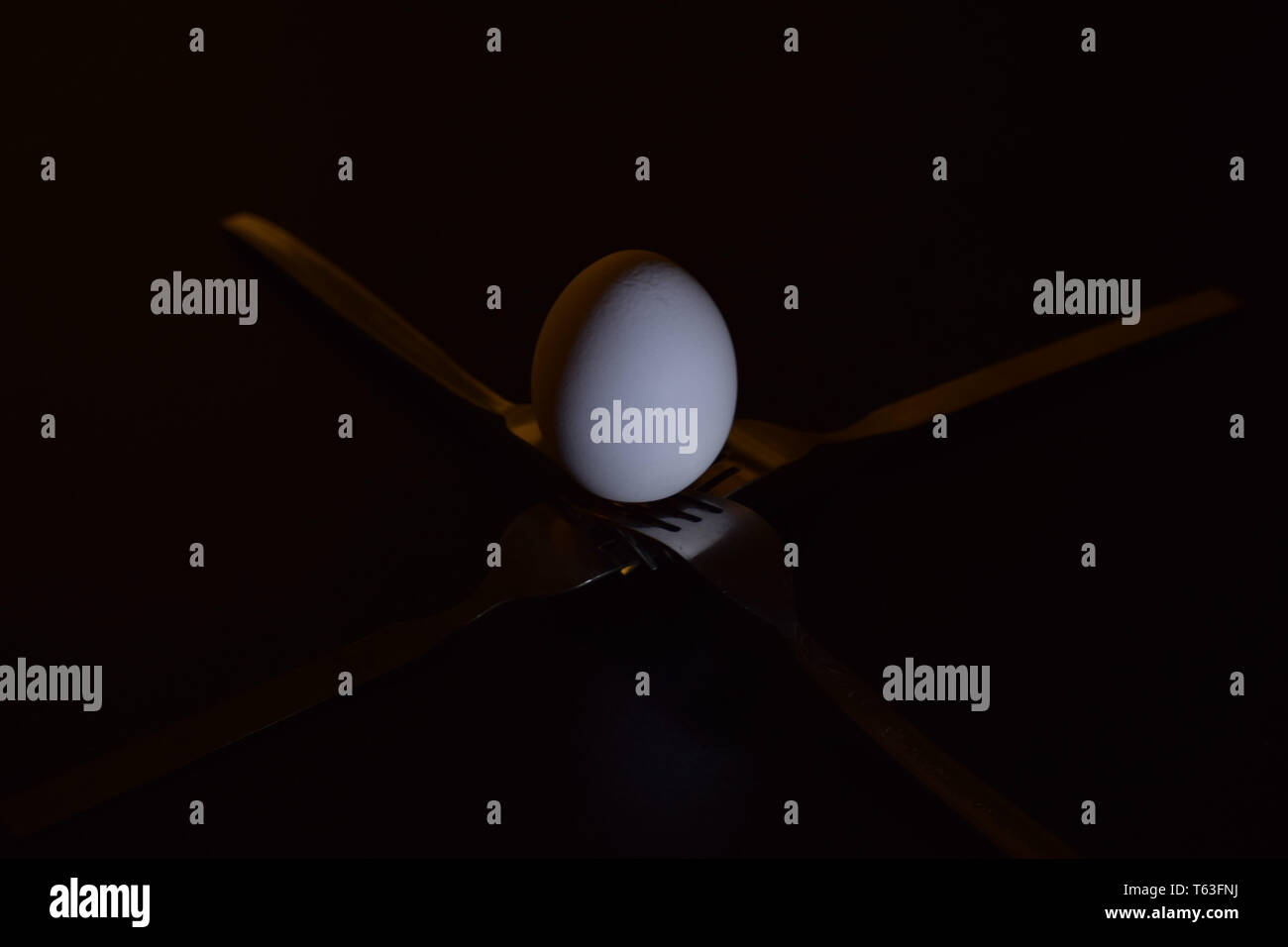 Egg under single light source Stock Photo Alamy