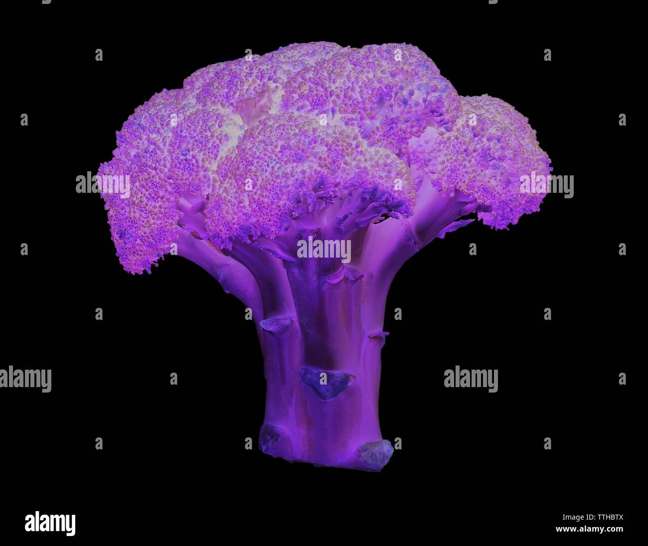 Broccoli vegetable isolated on white background Stock Photo Alamy