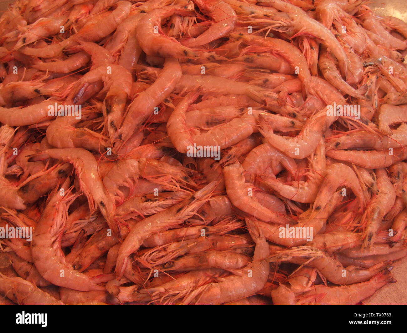 U o uoeuoeo2 1391 hires stock photography and images Alamy