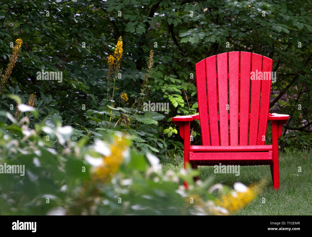 The red chair Stock Photo Alamy
