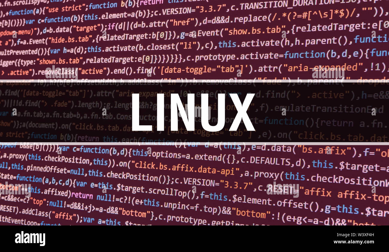 LINUX concept with Random Parts of Program Code. LINUX with Programming