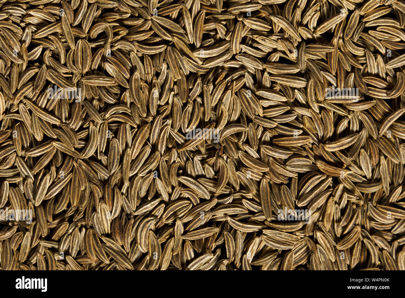 Cumin seeds texture Stock Photo Alamy