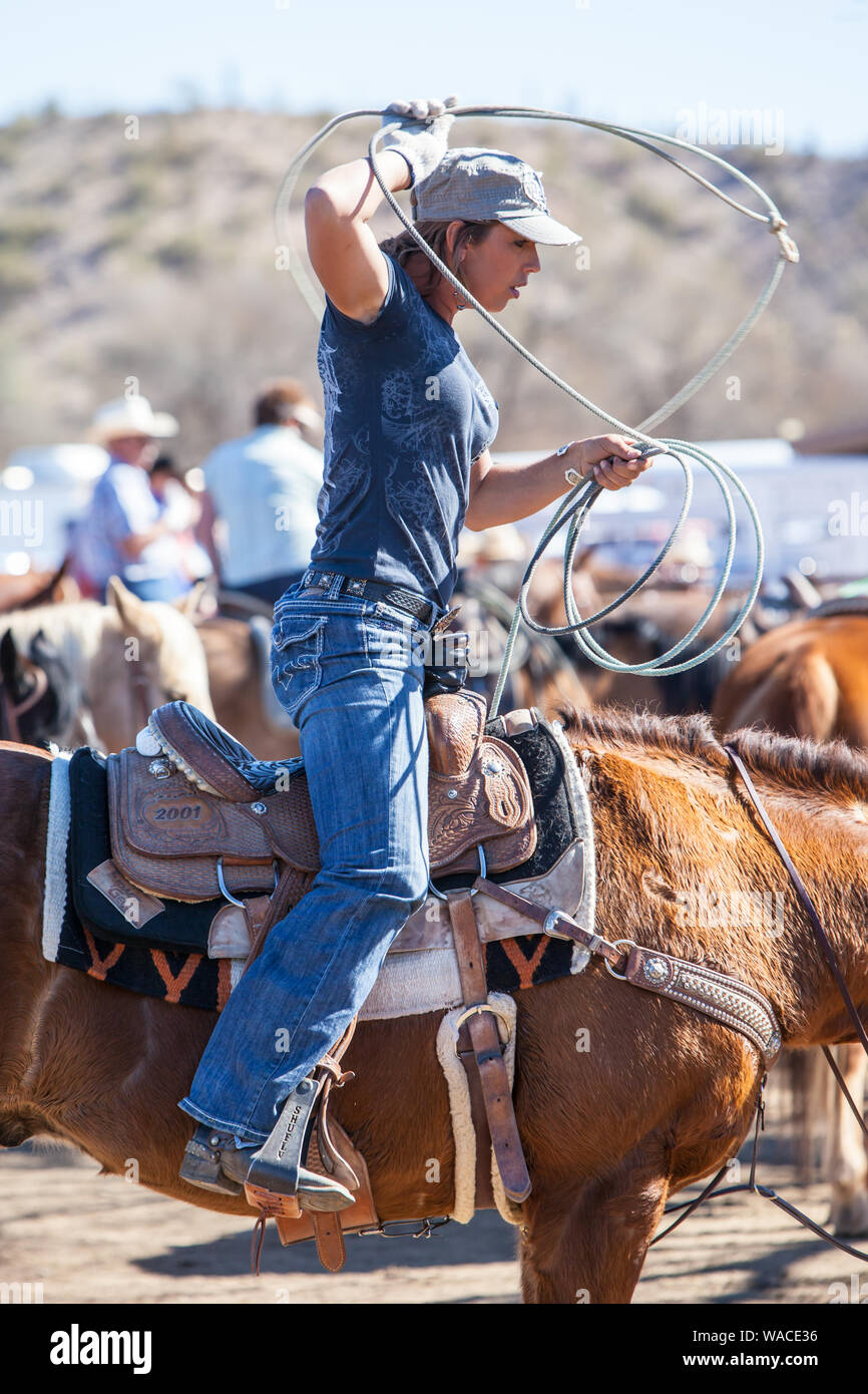 Cowboy roping cattle hires stock photography and images Alamy