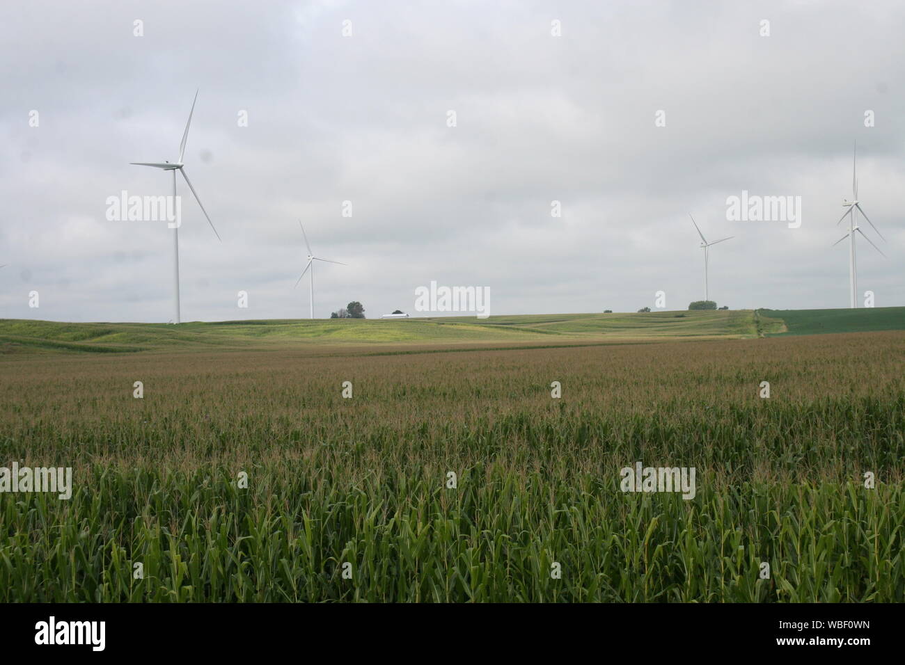 Wind Farming Stock Photo Alamy
