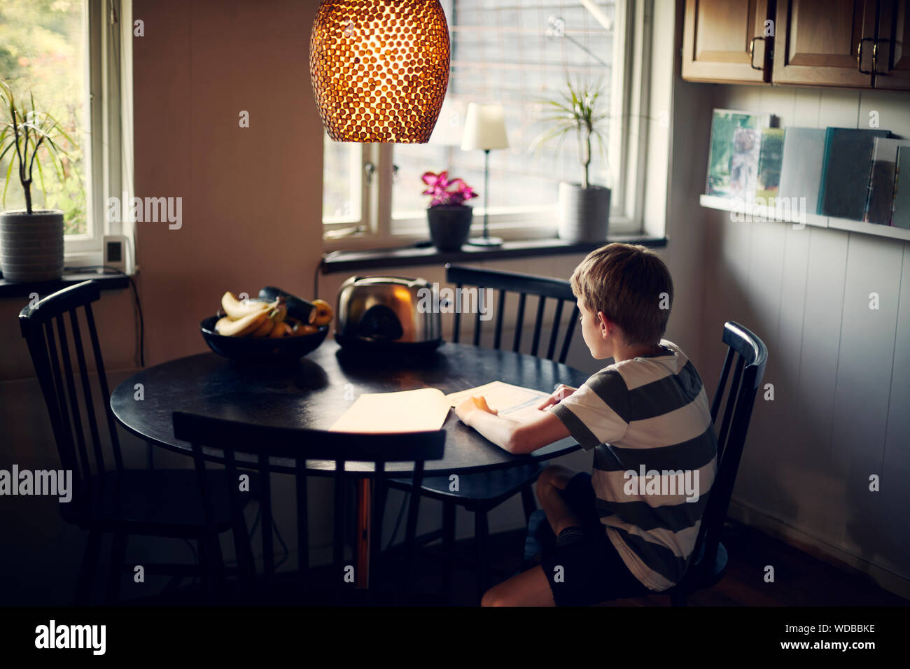 Boy reading at dining table Stock Photo Alamy