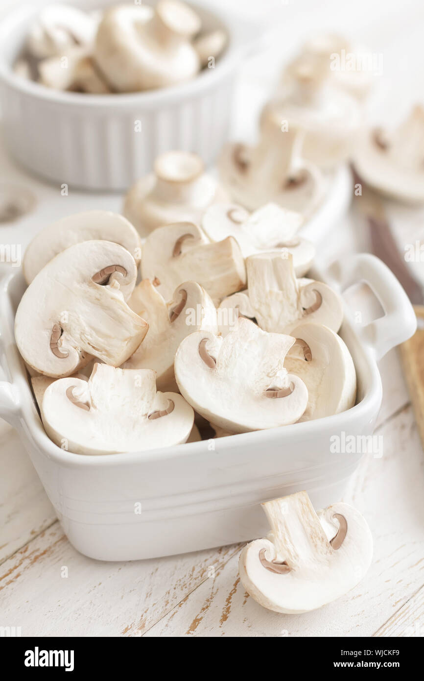 Common wood eating fungus hires stock photography and images Alamy
