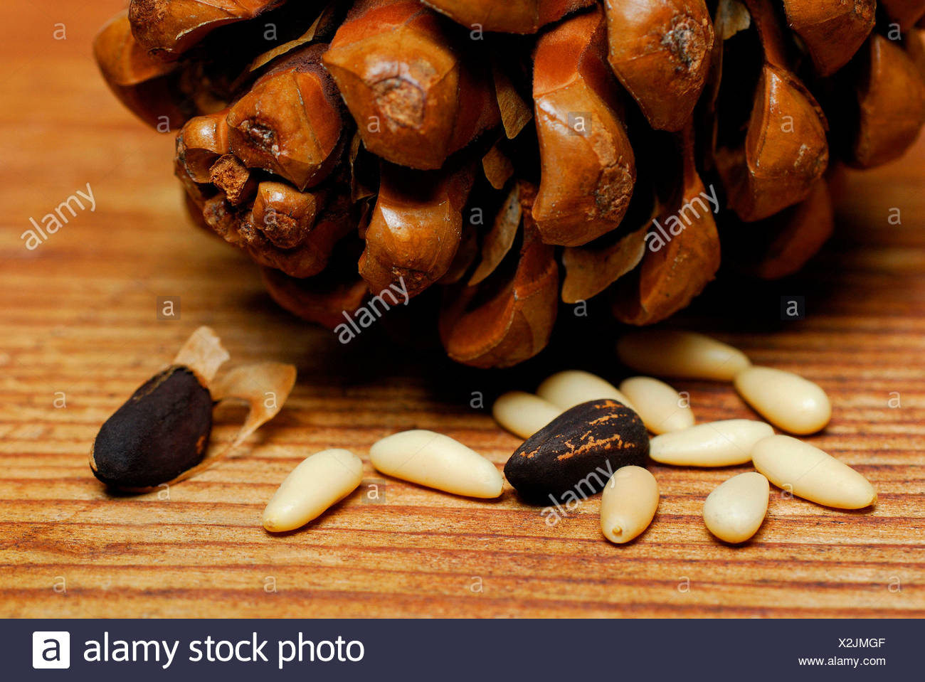 Pine Nut Cone High Resolution Stock Photography and Images Alamy