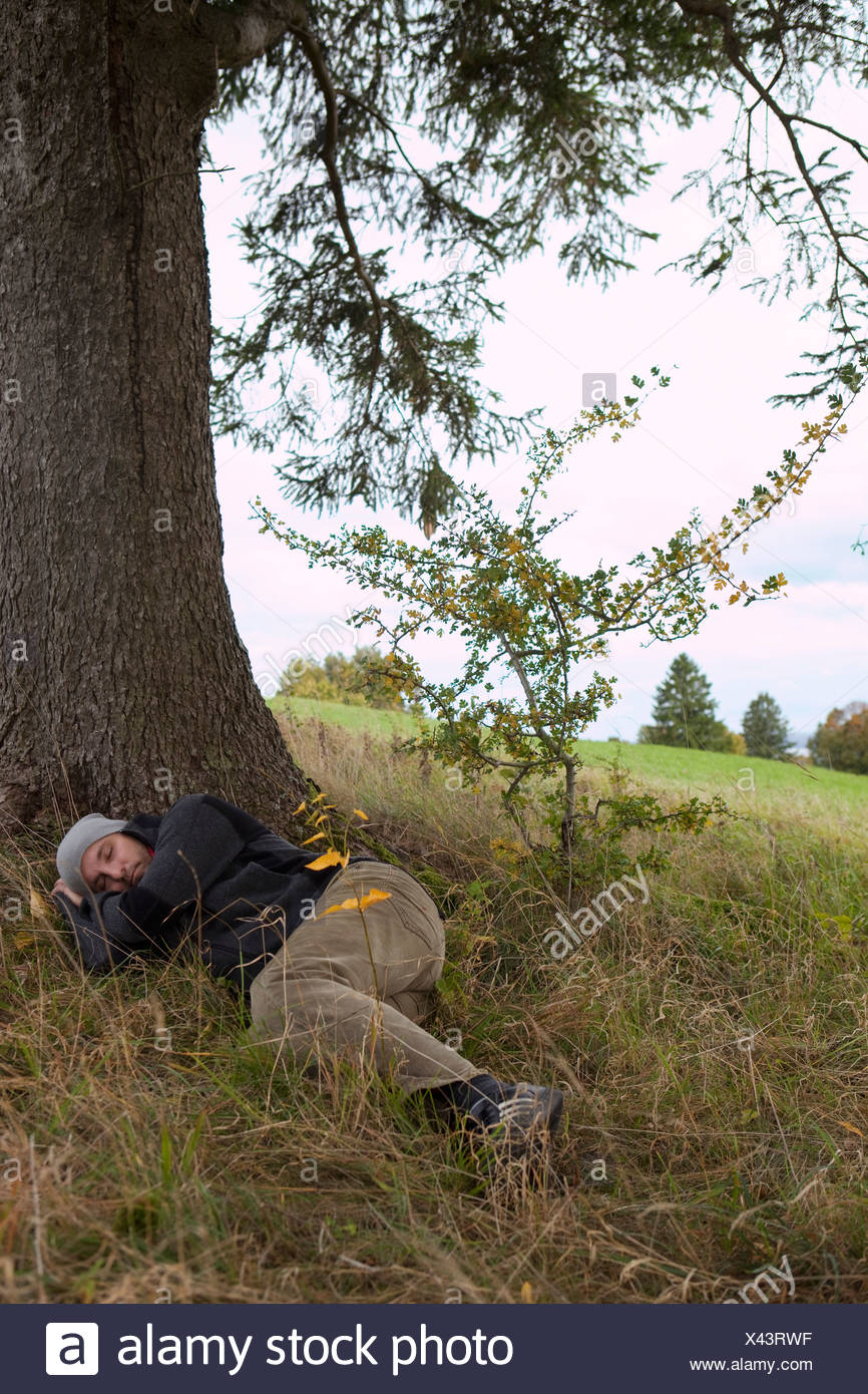 Man sleeping under a tree Stock Photo 277909115 Alamy