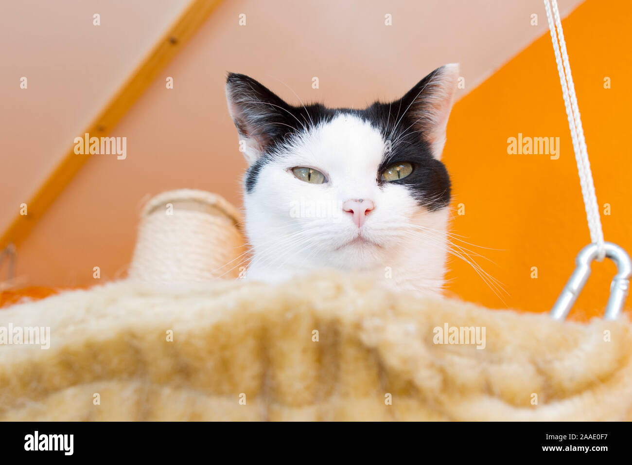 Dost Stockfotos und bilder Kaufen Alamy