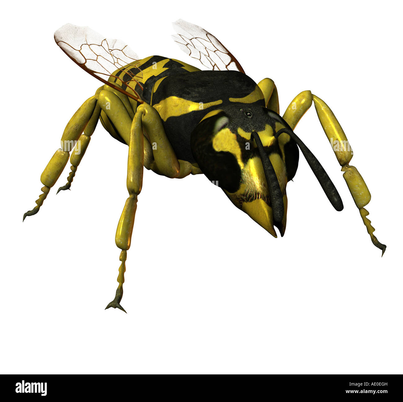 Wasp Waist Stockfotos & Wasp Waist Bilder Alamy