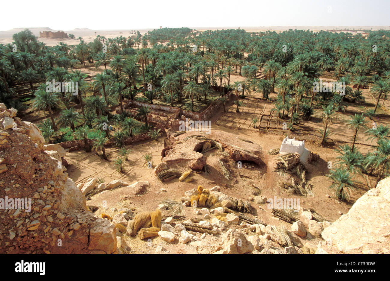 Algeria North Africa Agriculture Farming Stockfotos & Algeria North