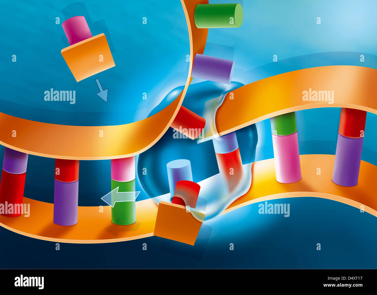 Illustration dna polymerase molecule Fotos und Bildmaterial in hoher