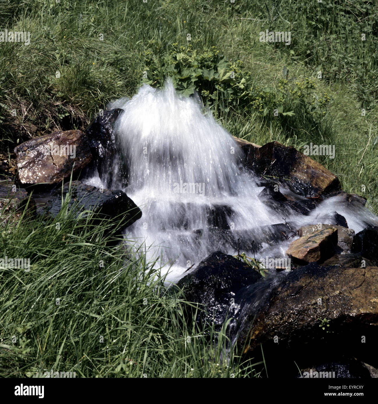 Flussquelle Stockfotos und bilder Kaufen Alamy