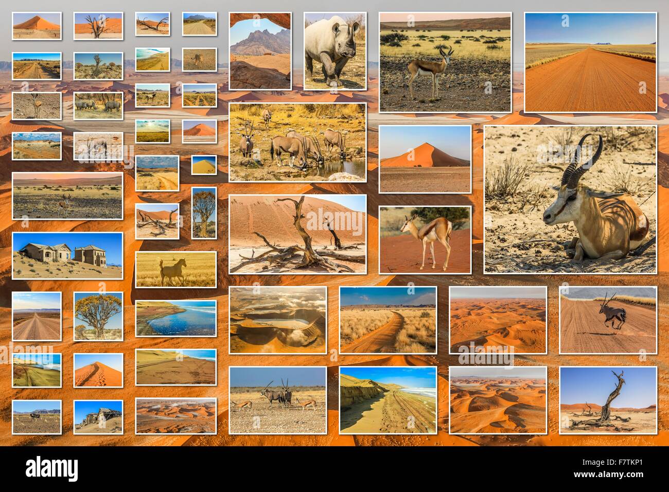 NamibiaWüstecollage Stockfotografie Alamy