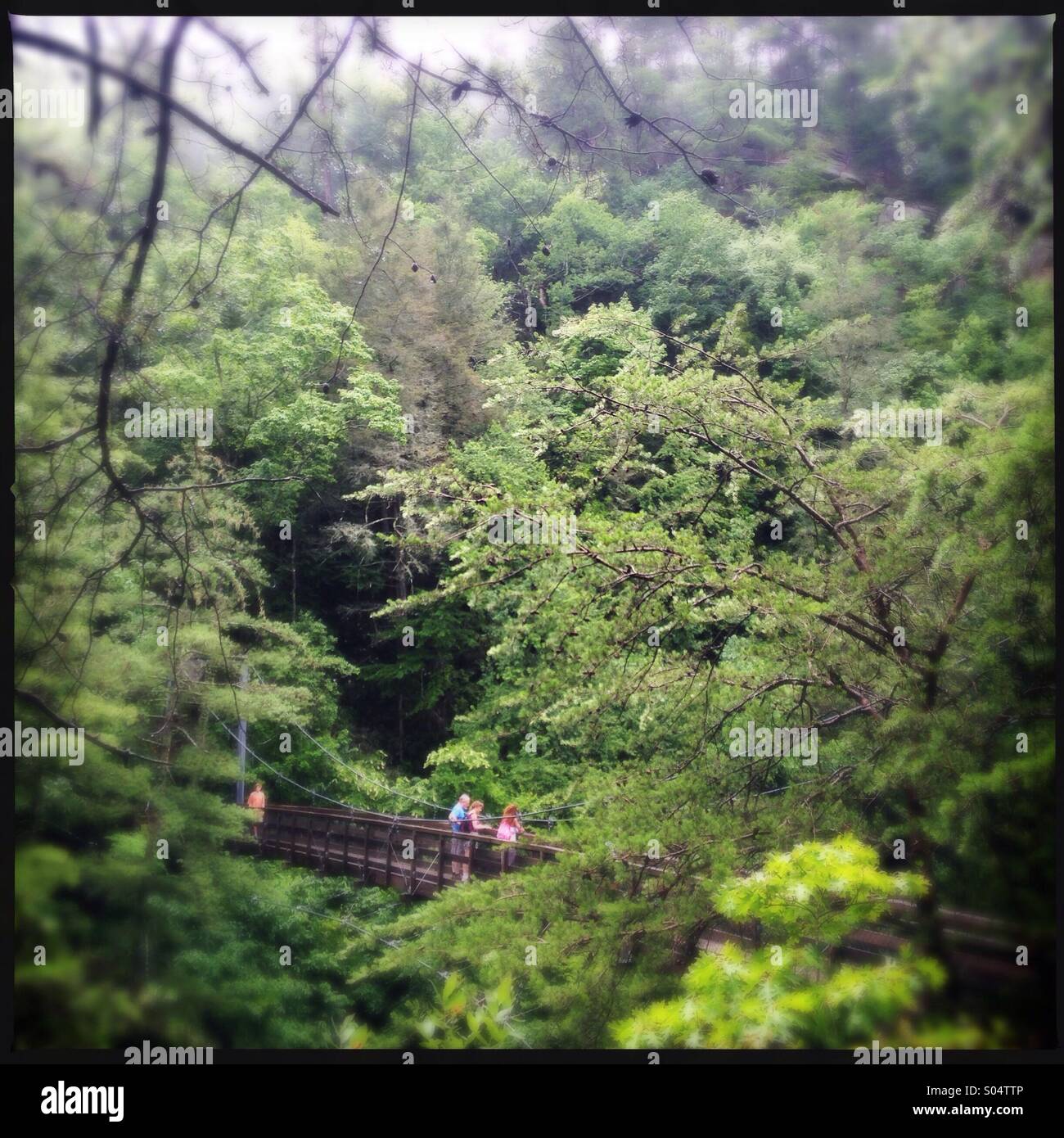 Tallulah wanderung Fotos und Bildmaterial in hoher Auflösung Alamy