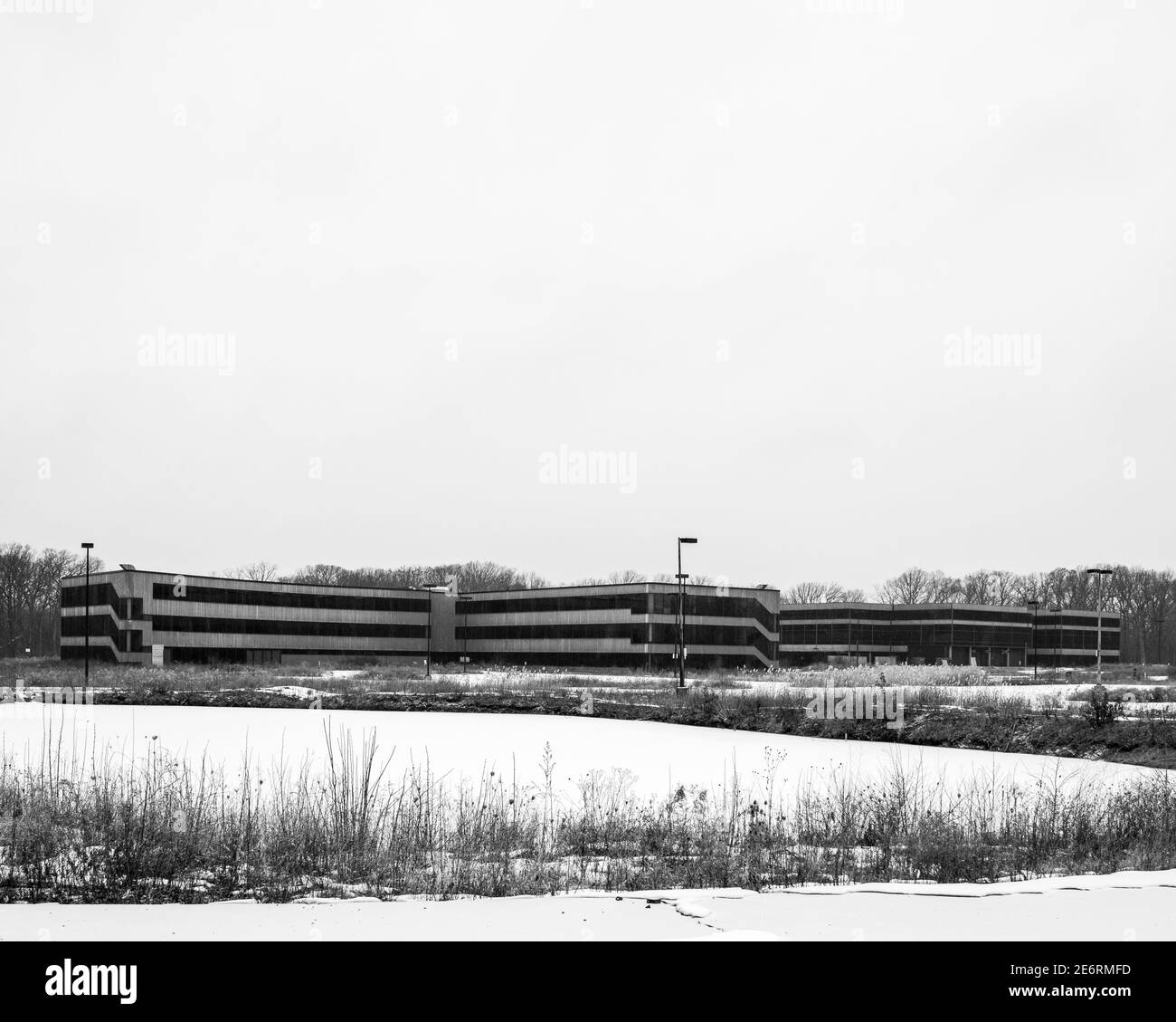 Barrio forestal Imágenes de stock en blanco y negro Alamy