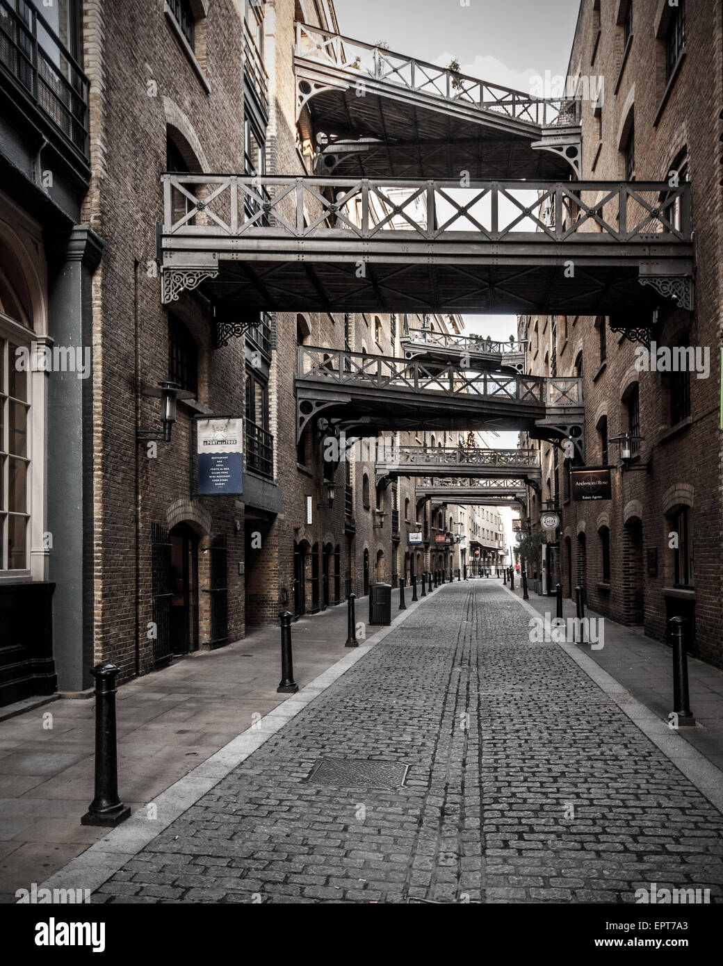 Shad fotografías e imágenes de alta resolución Alamy