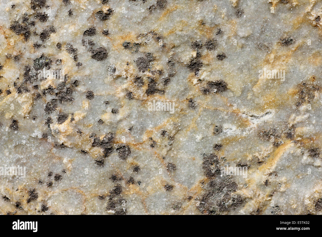 La Texture De Roche De Quartzite Banque D Images Photo Stock
