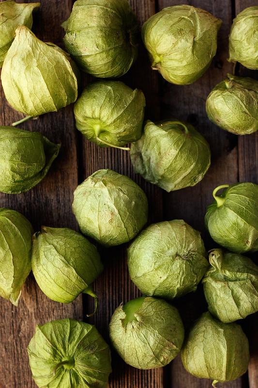 Slow Cooker Chicken Chile Verde {Glutenfree, Dairyfree} Paleo Meal Prep