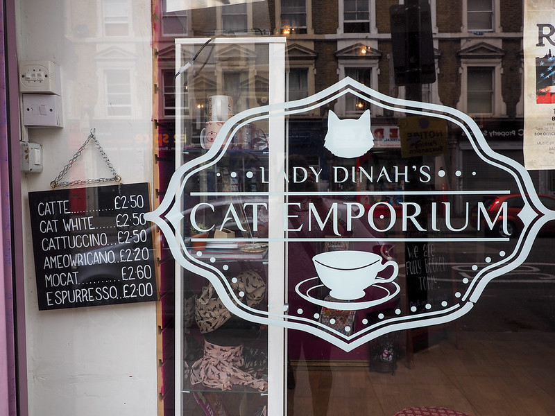 Having High Tea at Lady Dinah's Cat Emporium in London