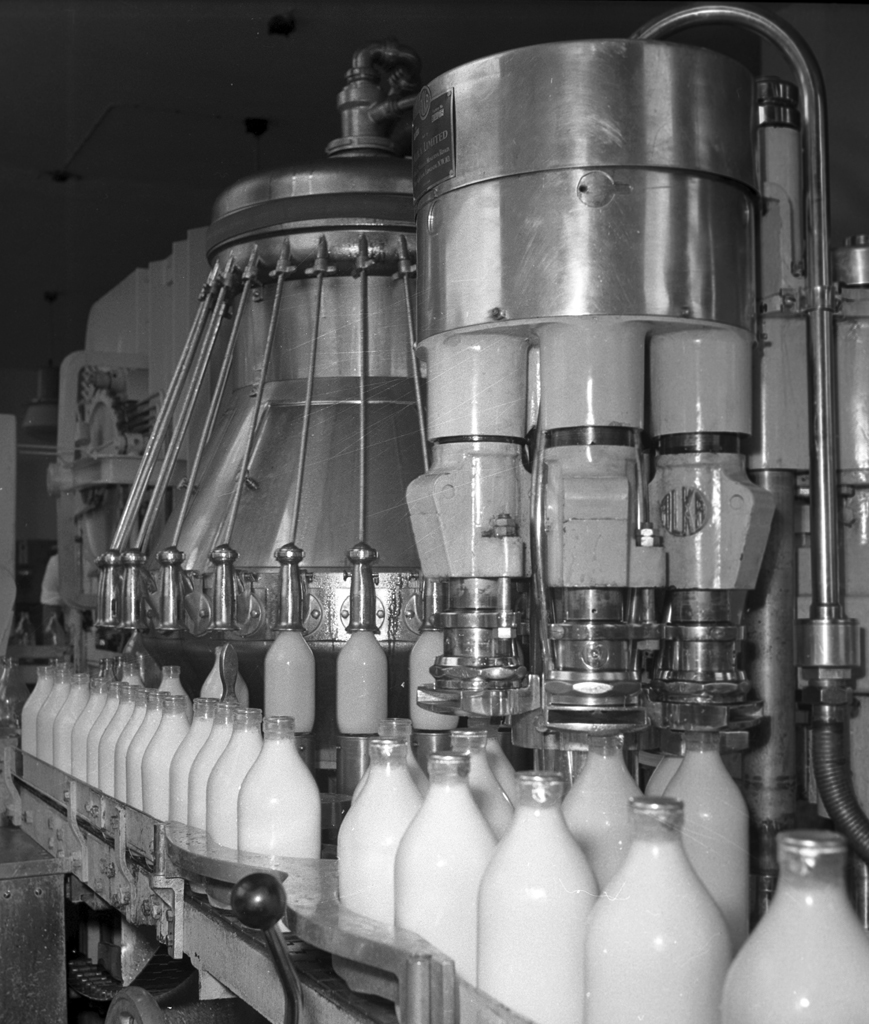 ashramblings Production lines