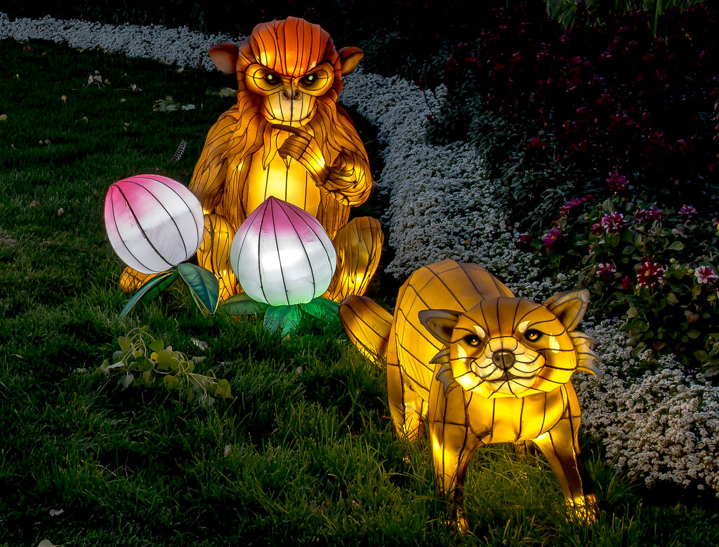 chinese lantern festival 2023 calgary IlluminAsia Chinese Lantern festival at the Calgary Zoo Urban Life
