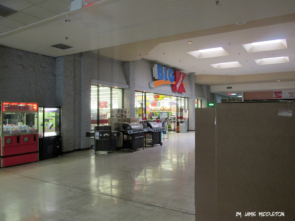 Cedar Bluff Virginia Jamie in Wanderland