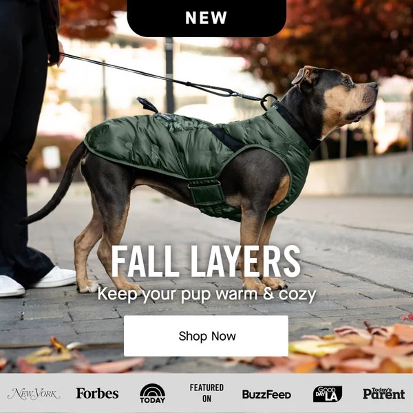 Canada Pooch Dog Clothes and Accessories Dog Apparel