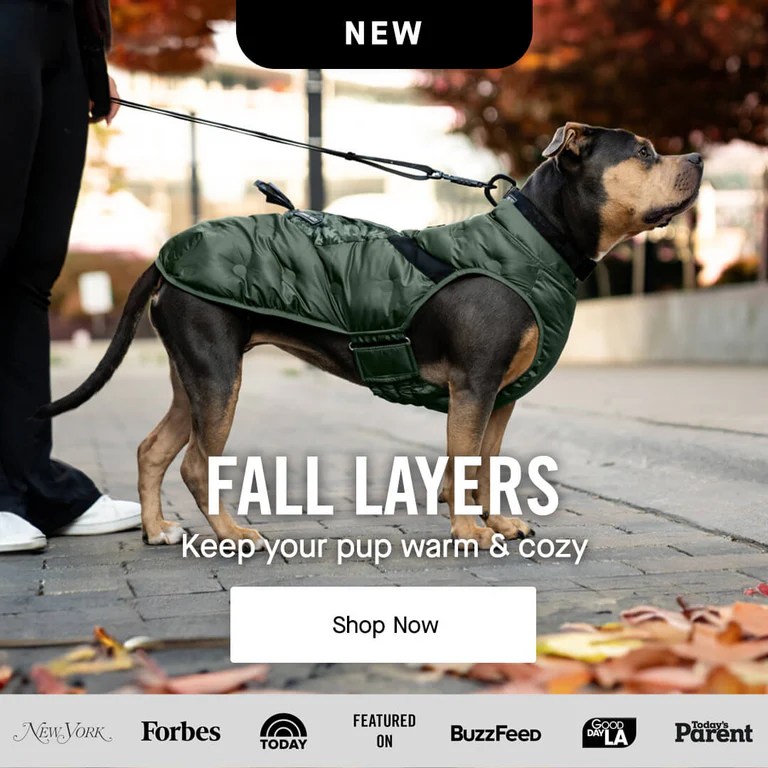 Canada Pooch Dog Clothes and Accessories Dog Apparel