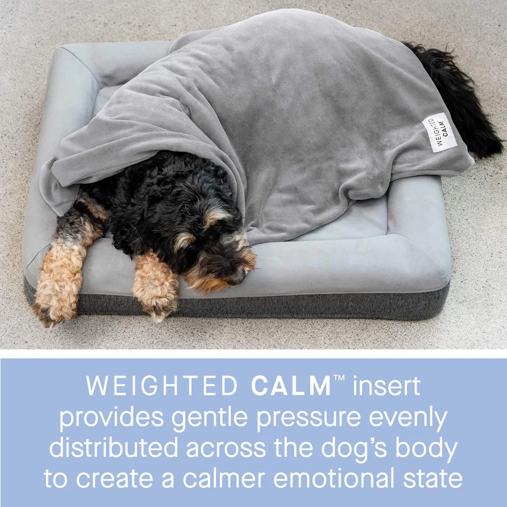 Weighted Blanket For Dogs Canada Pooch
