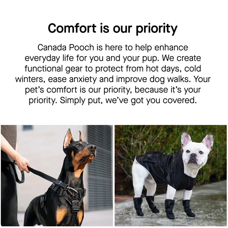 Canada Pooch Dog Clothes and Accessories Dog Apparel
