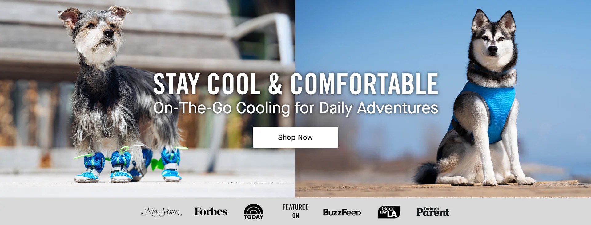 Canada Pooch Dog Clothes and Accessories Dog Apparel