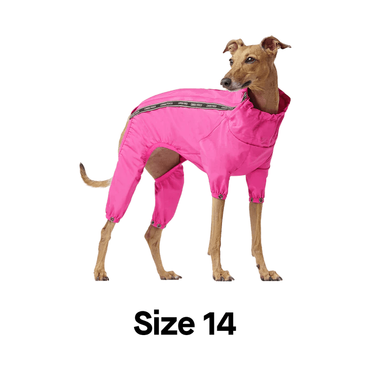 Dog Clothes Sizing Chart Canada Pooch