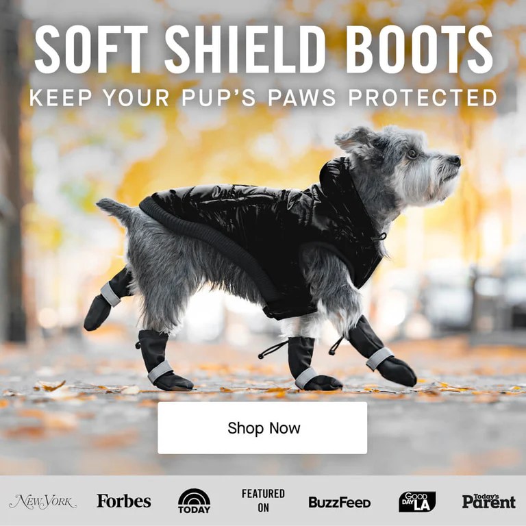 Canada Pooch Dog Clothes and Accessories Dog Apparel