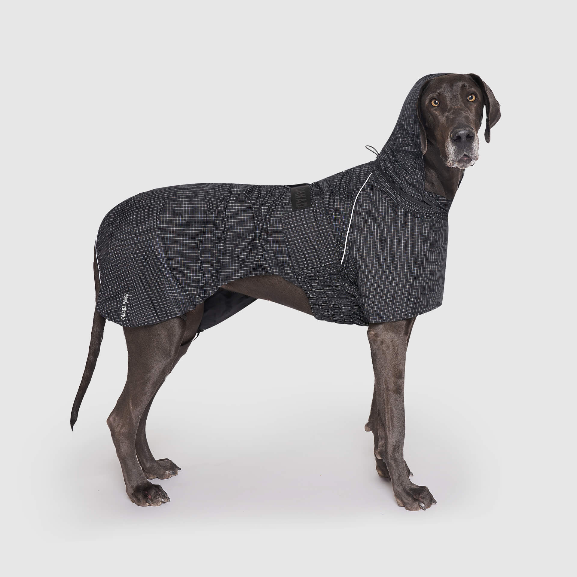 Complete Coverage Dog Raincoat with Hood Canada Pooch