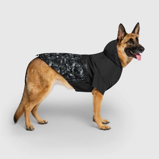 Rain Ready Packable Dog Jacket Canada Pooch