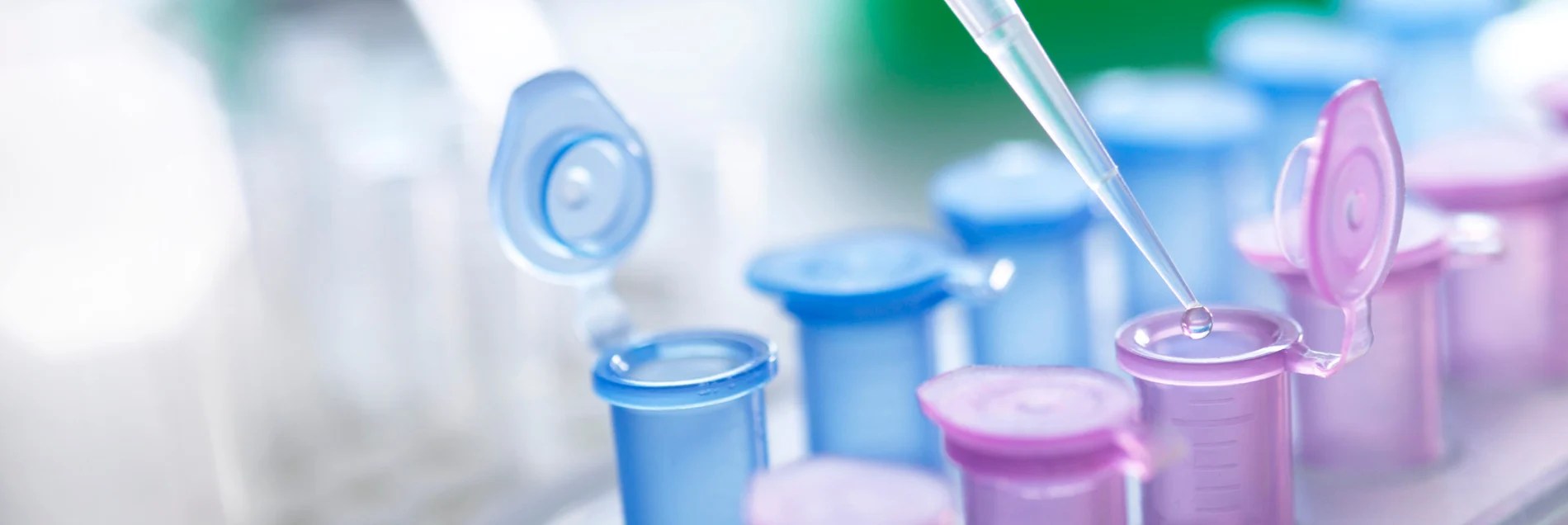 Gilson Article Pipetting Small Volumes 4 Tips for Improving Your