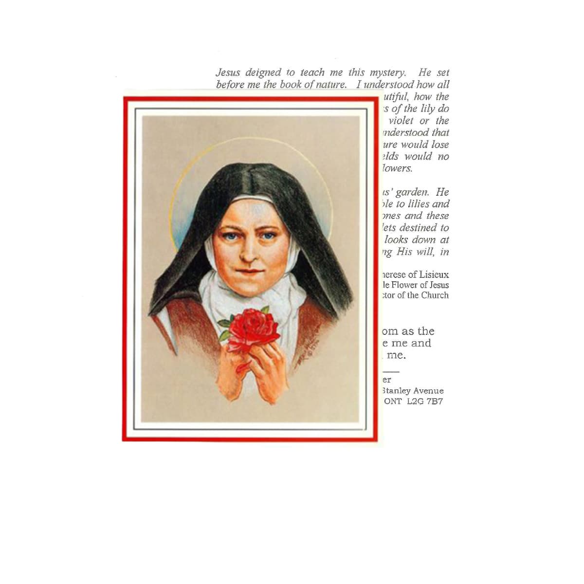 St. Therese Wild Flower Prayer Card Society of the Little Flower Canada