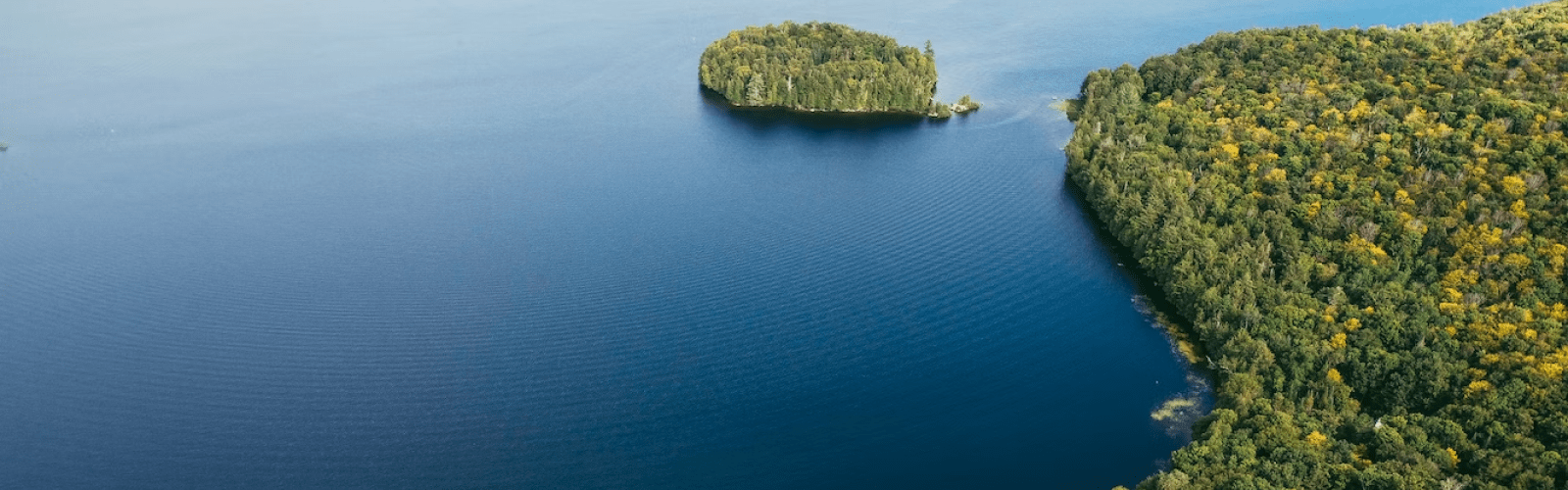 Sault Ste. Marie Branch of RBC Dominion Securities Inc. Our advisors