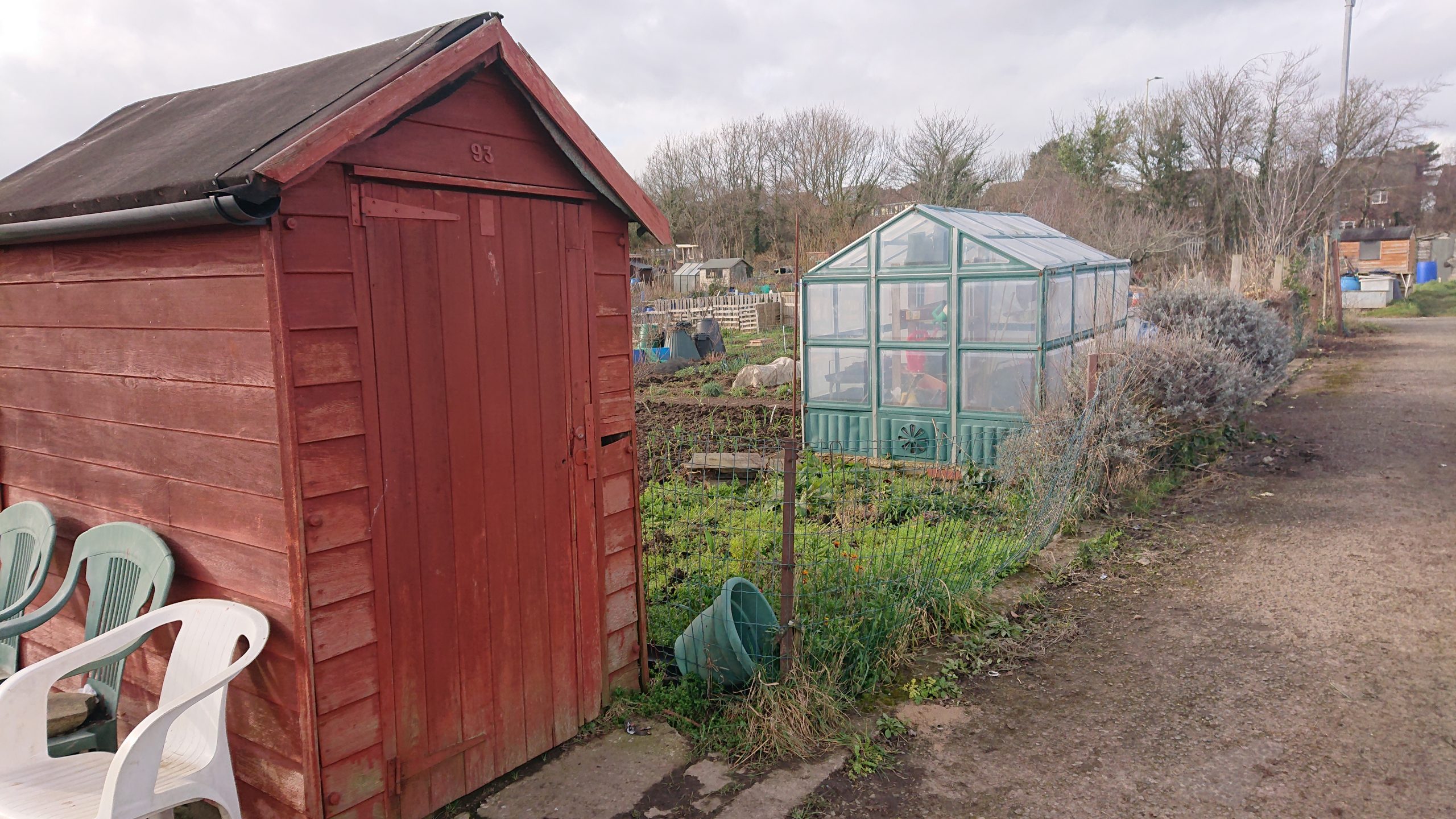 Gallery Colchester Avenue Allotment Association