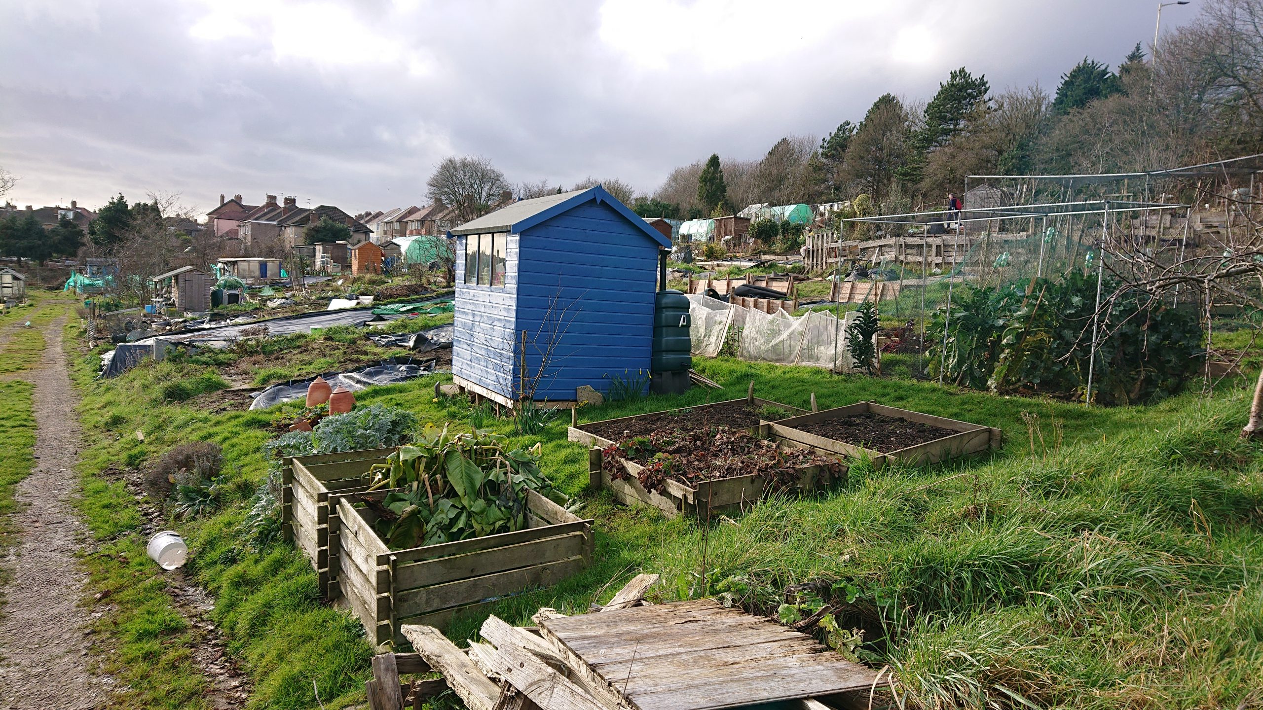 Gallery Colchester Avenue Allotment Association