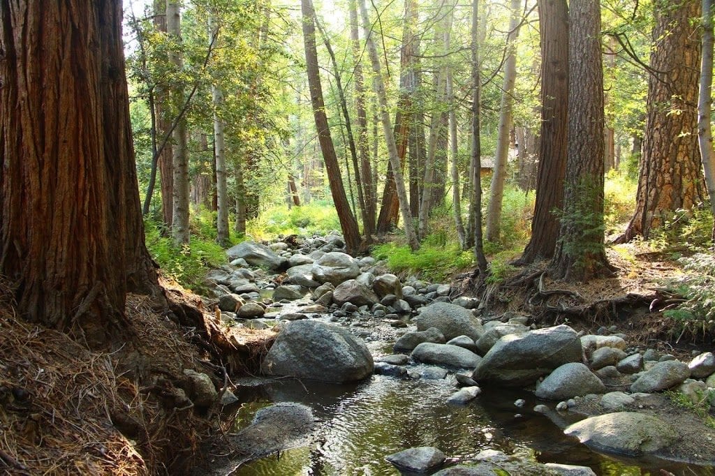 Exploring the Alpine Wonderland of Idyllwild and Two Rustic Inns along