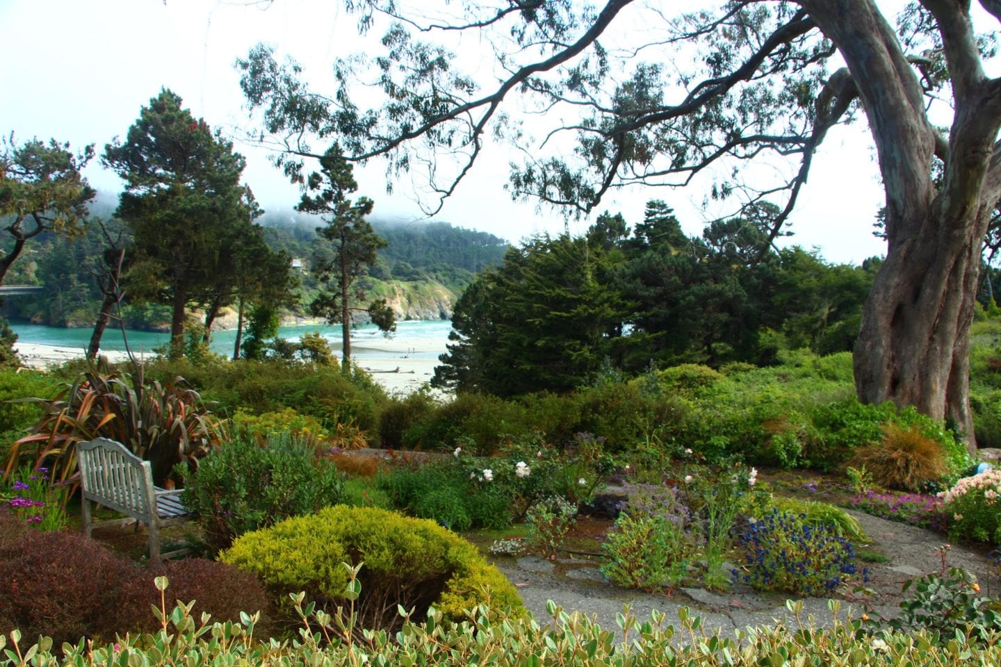 Hidden Views at Mendocino Village's Only Oceanfront B&B CABBI
