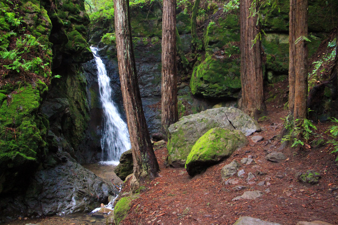 Two Enchanting Escapes in Marin County CABBI