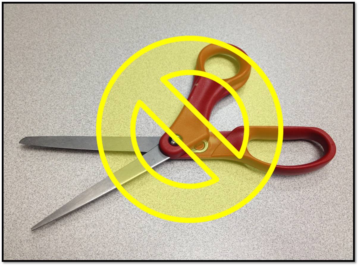 Solving the mystery of DNA Part II CAB Cattle