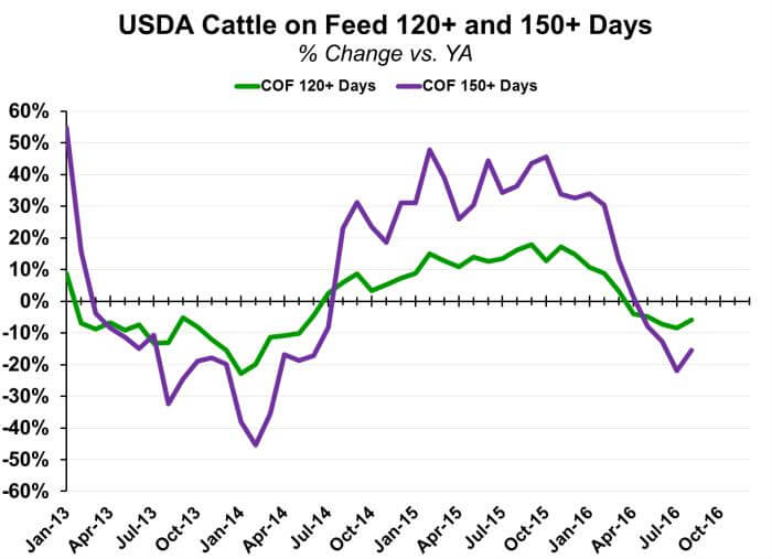 Factors Increasing Quality Grades in U.S. Fed Cattle CAB Cattle