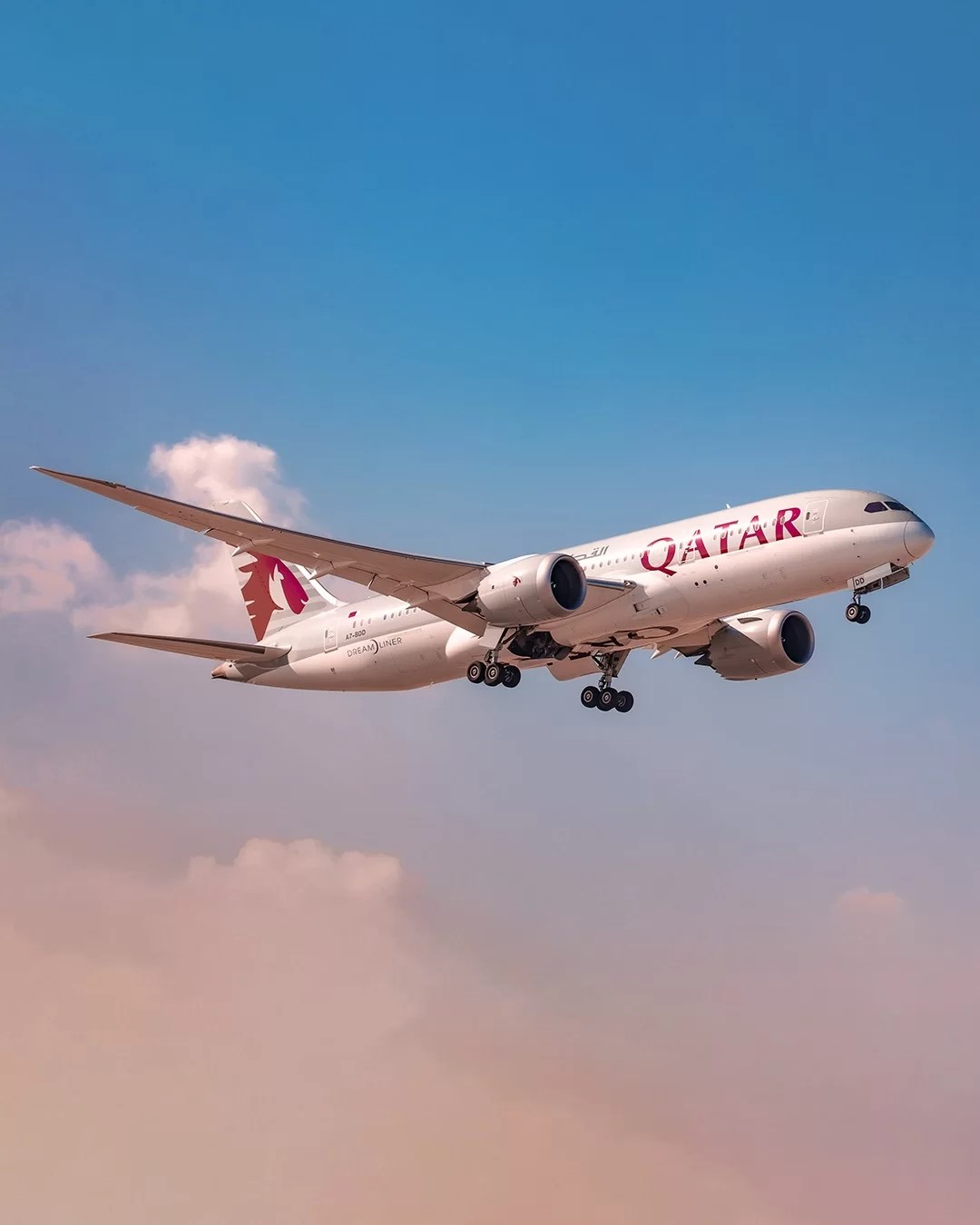 An Exclusive Guide to Qatar Airways Cabin Crew Requirements in 2024