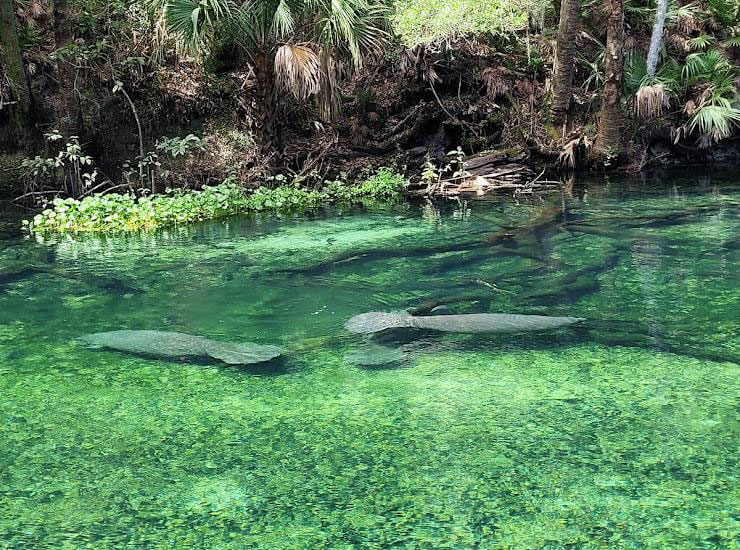Cabin on the Lake Bed and Breakfast Lake Helen, Florida