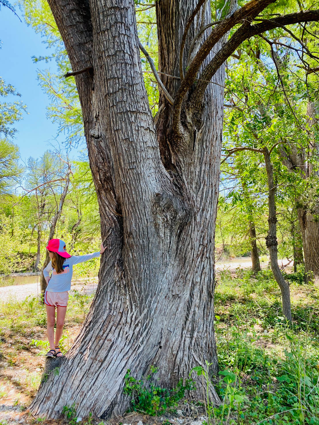 Houses for Rent on the Frio River Frio River Cabins