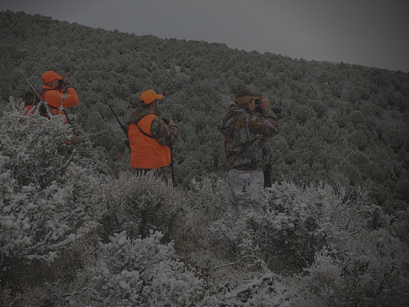 huntingproperty Cabins In Utah